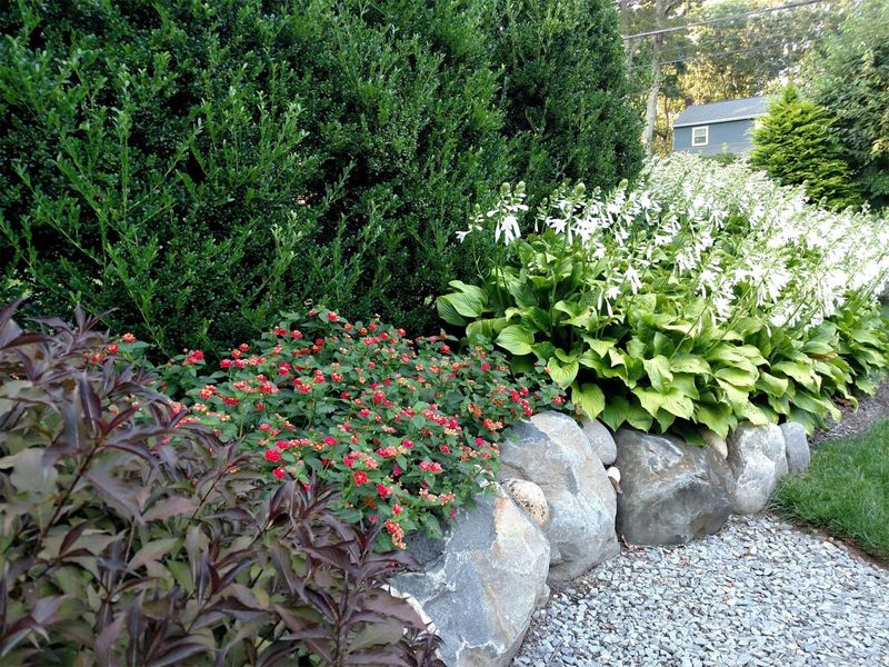 Images Echo Landscaping Inc