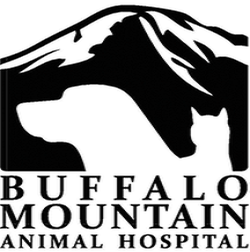 Images Buffalo Mountain Animal Hospital
