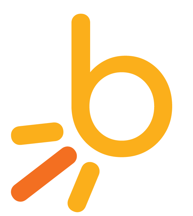 BrightSide Pest Solutions' color logo favicon