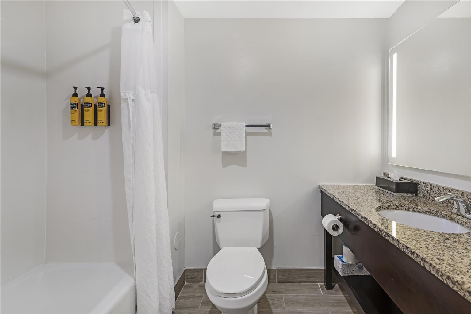 ADA Suite Single Queen Bathroom