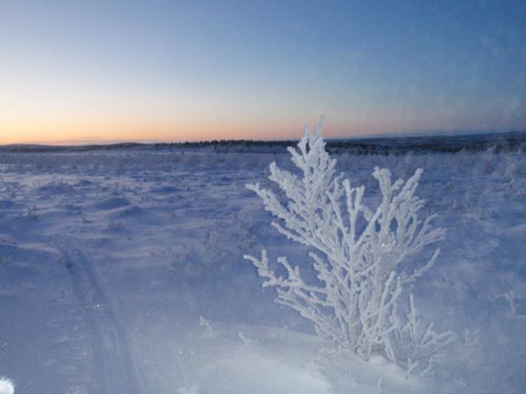 Images Hammaslääkäri Yrjö Mäkiö