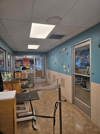 Images Petco Grooming