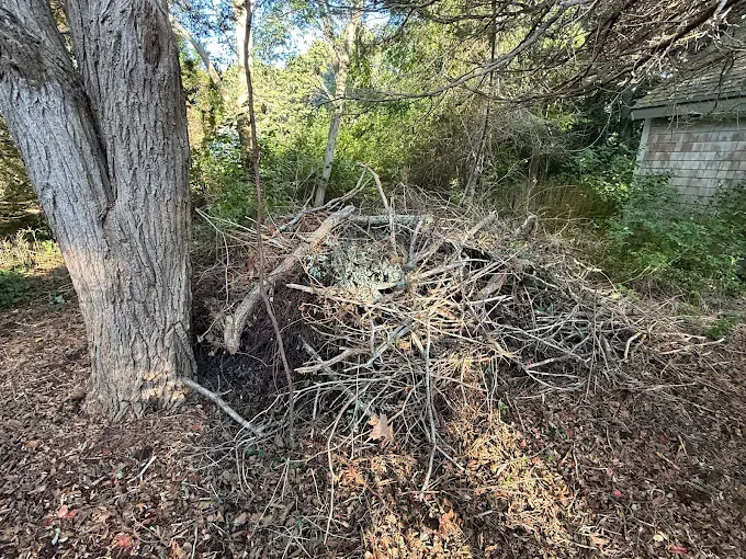 Evergreen Duo Services Image