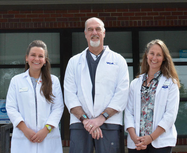 Images VCA Mountainview Animal Hospital & Pet Lodge