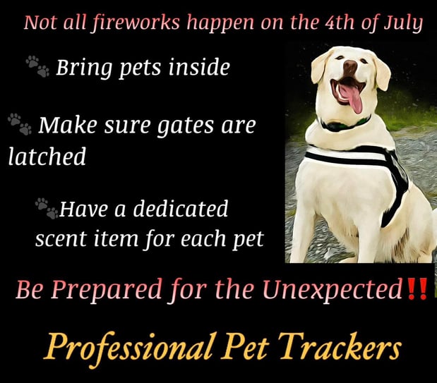 Images Professional Pet Trackers