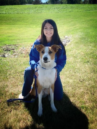 Images VCA Green Animal Hospital