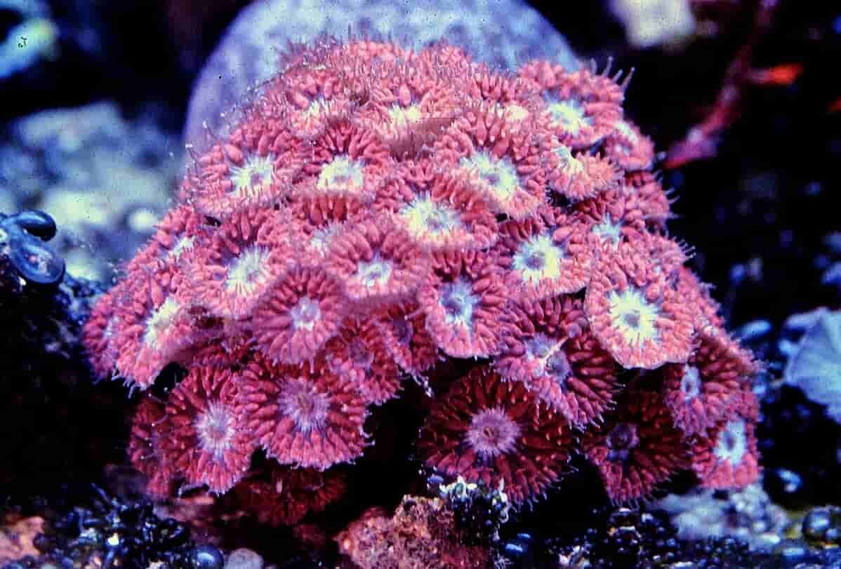 S&L Naturverlag, Bergrat-Mahr-Straße 17 in Ilmenau