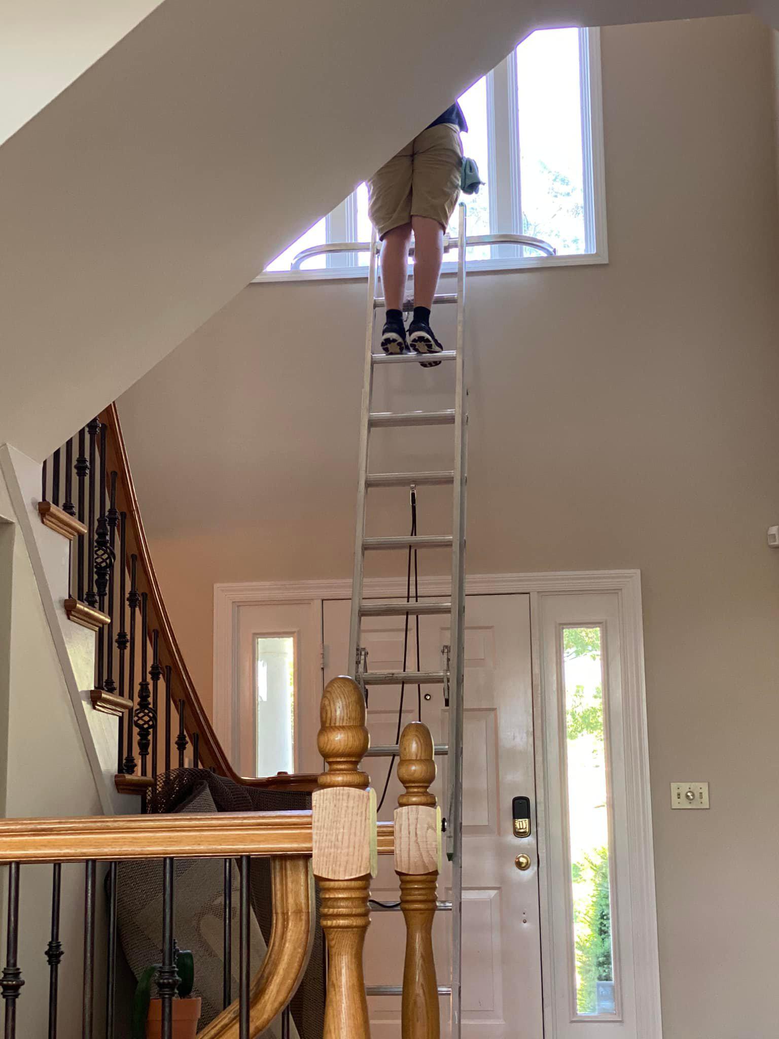 Dave's Carpet And Window Cleaning