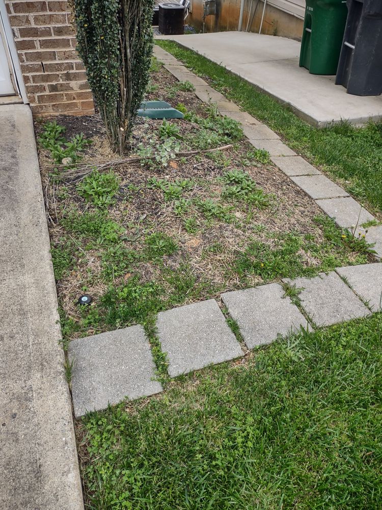 For a tidy and inviting yard, trust Pioneering Homescapes, LLC for professional yard cleanup services. We'll clear away debris and leaves, leaving your space looking pristine.