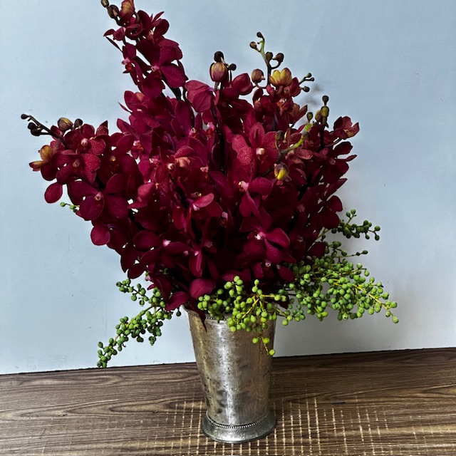 Images Jane's Roses & Flowers
