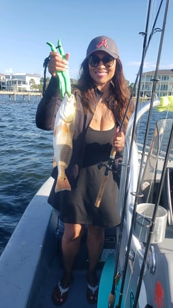 Images E-6 INSHORE FISHING ADVENTURES, LLC