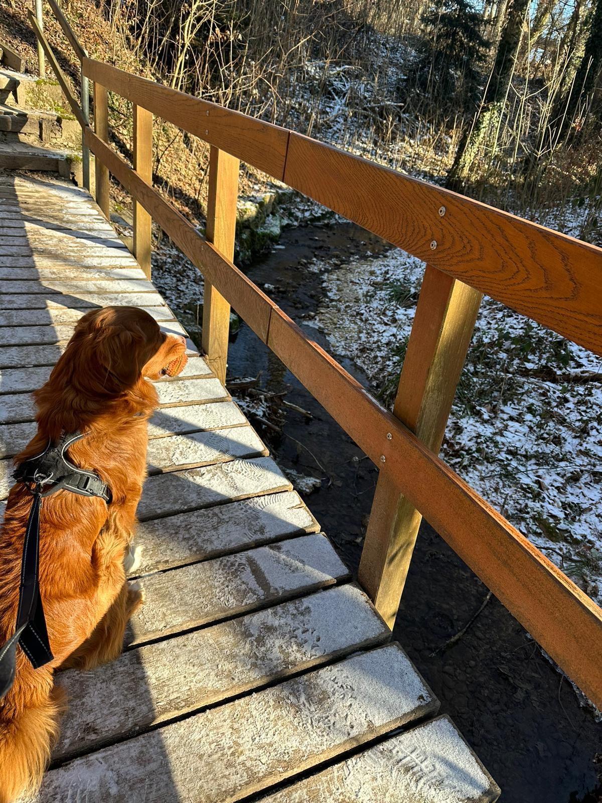 Pet-Relax, Unter Den Hollen 3 in Duggingen