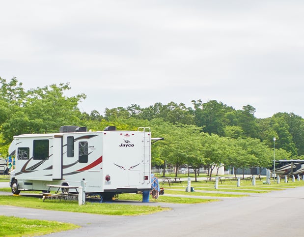Images Grey's Point Camp