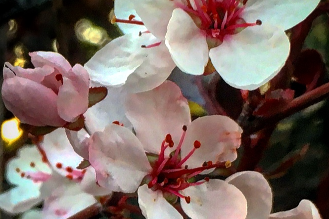 main blog image