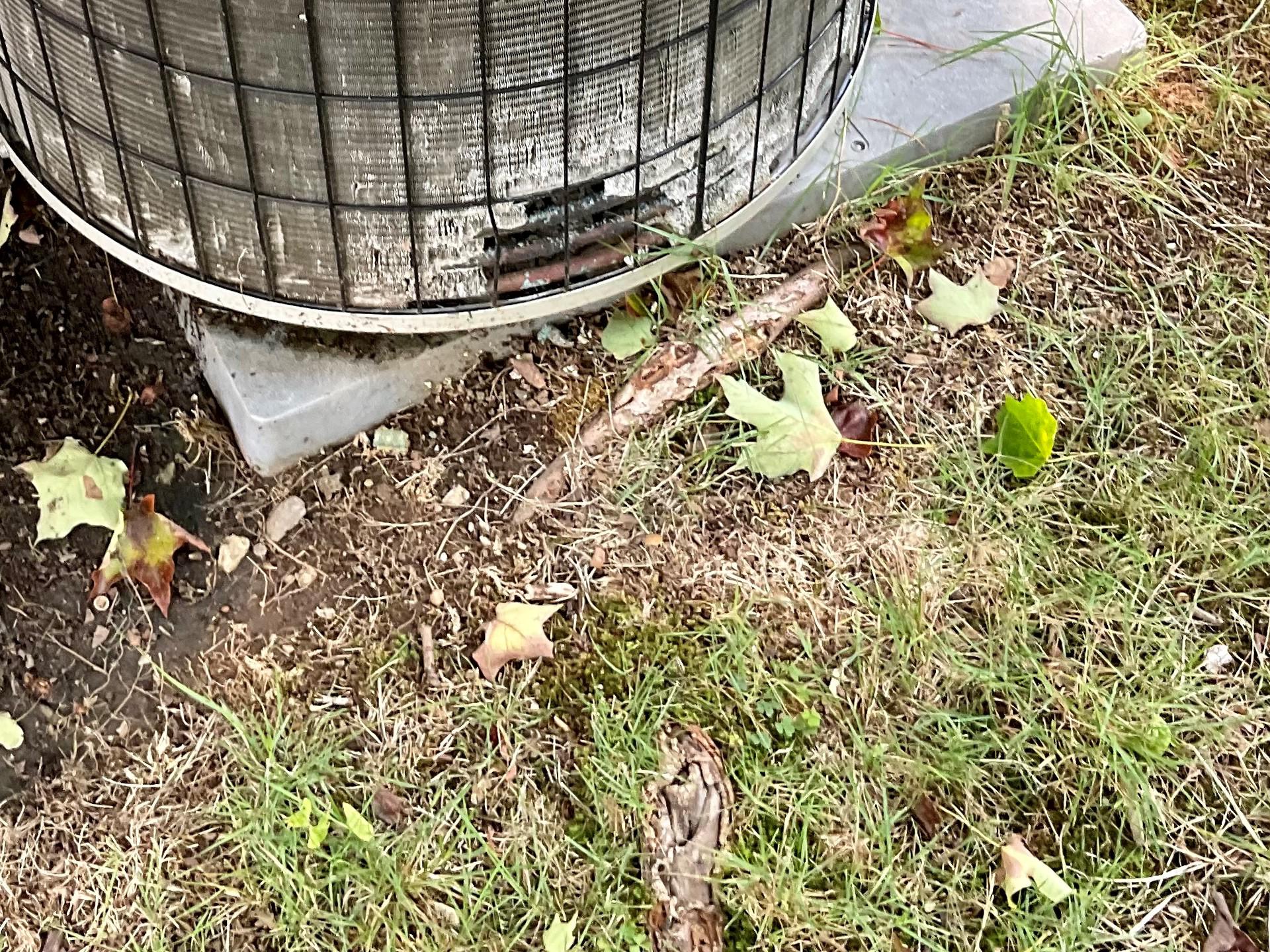Dog urine destroys air-conditioning compressors.  Keep Fido away!  Home Inspection Greenwich