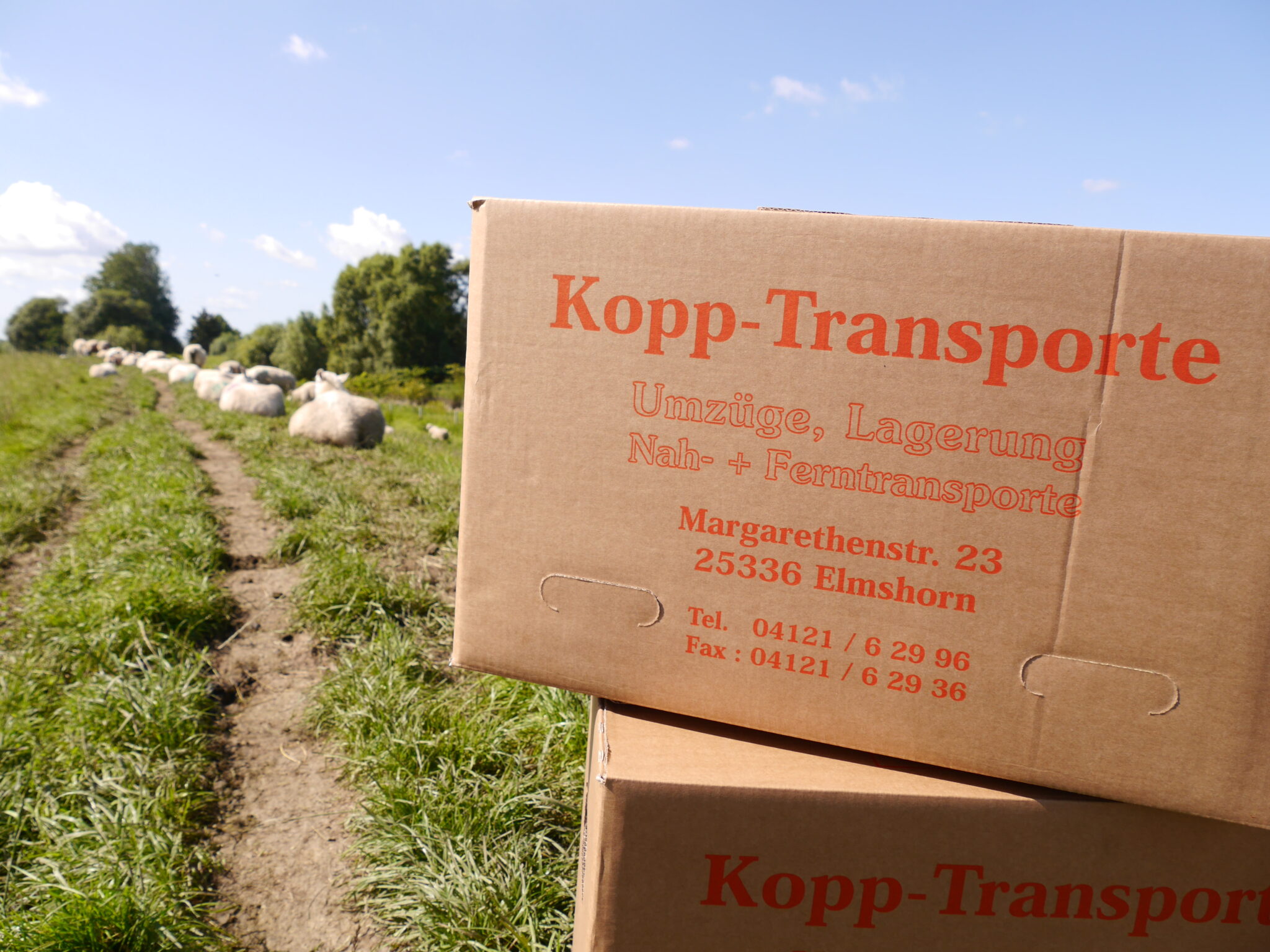 Bilder Kopp-Transporte - Umzüge und Kleintransporte