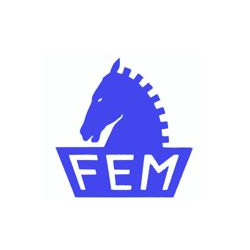 Fem Logo