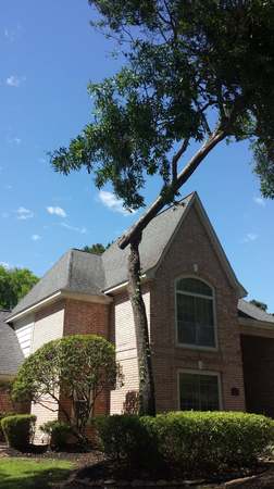 Images TNT Tree Service