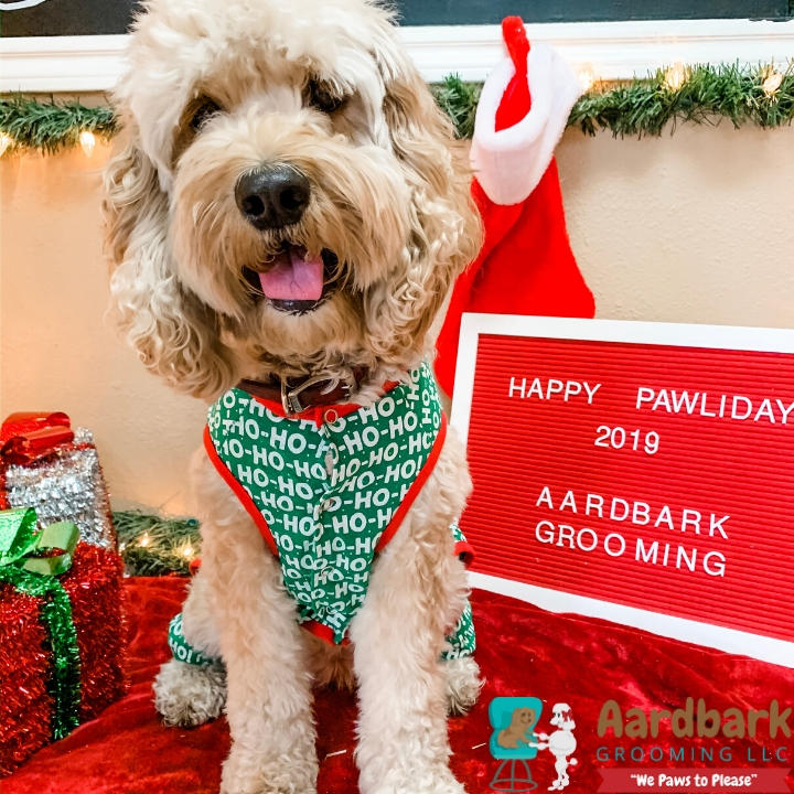 Aardbark Grooming Photo