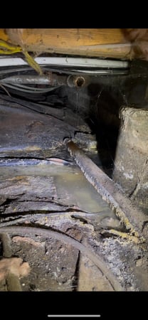 Images Rutman Restoration