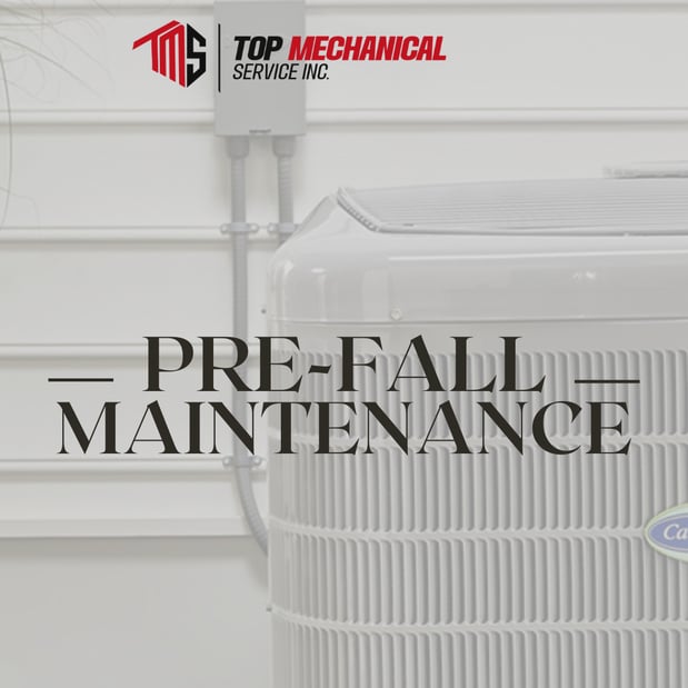 Images Top Mechanical Service