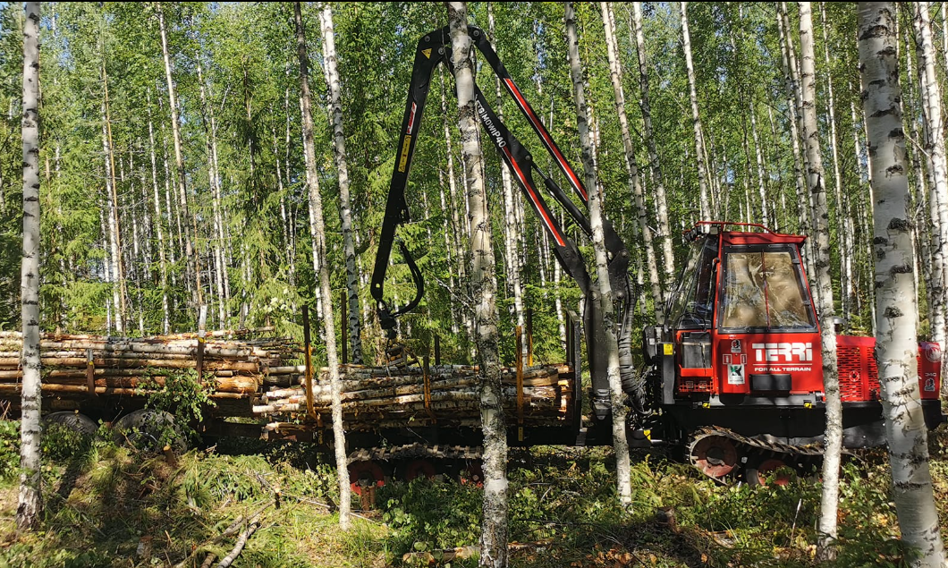 Images Kutajoen Metsärengit Ky