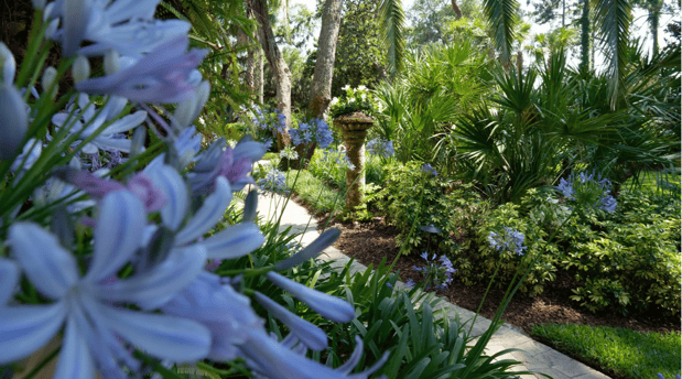 Images Beautiful Blooms Landscaping