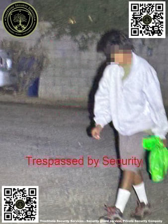 Images TreeStone Security Services