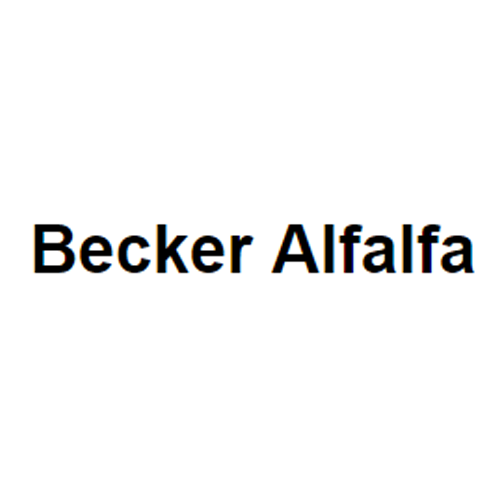 Becker Alfalfa
