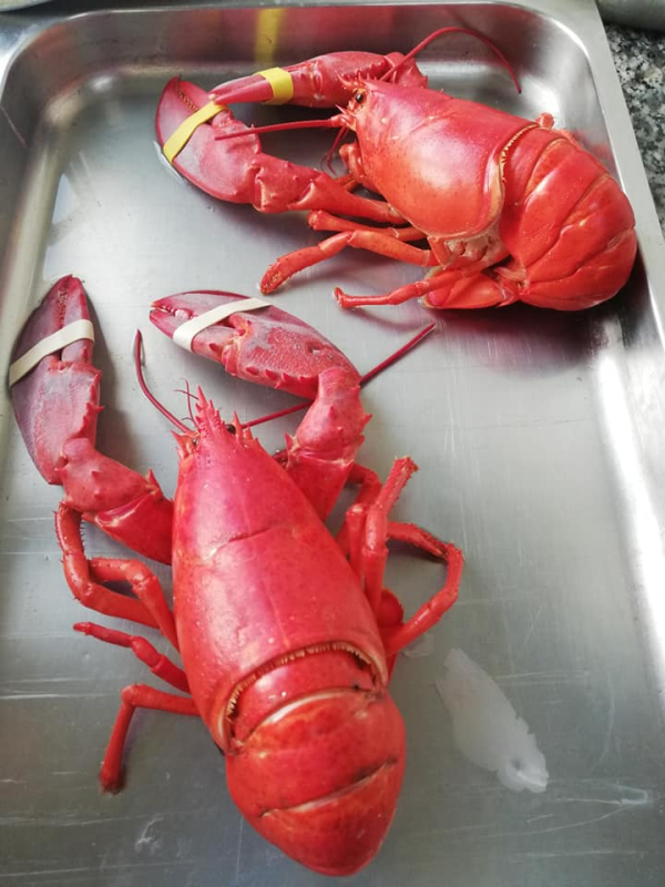 Images Pescheria El Pescado
