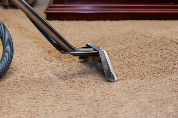 Images Campo's On the Spot Carpet Services Inc