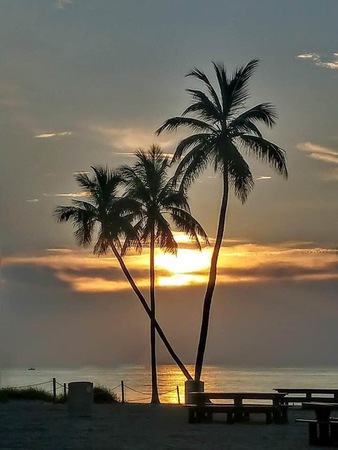 Images PMI Gulf Coast