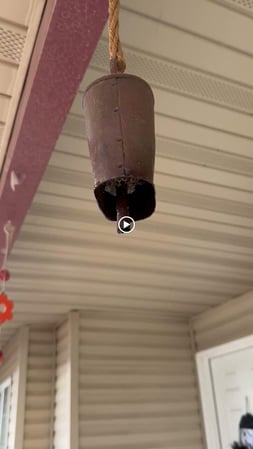Images Candor Pest Control