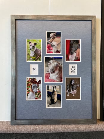 Images The Great Frame Up - Denver