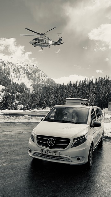 Bild 2 von Nematy Daniel e.U.