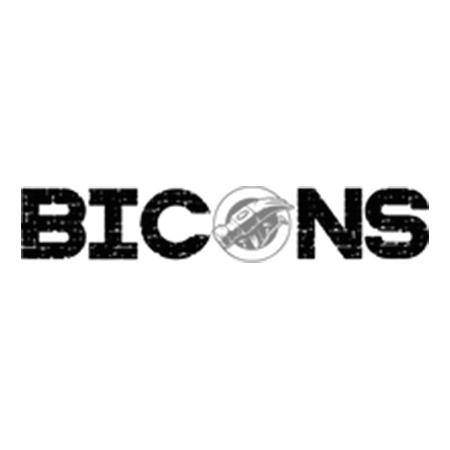 BICONS GmbH Logo