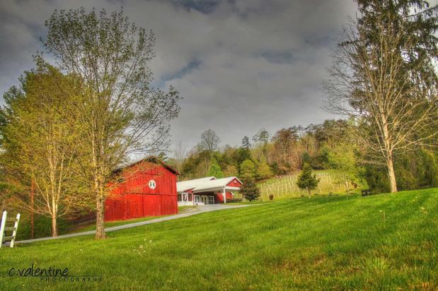 Images Maple Lane Farm