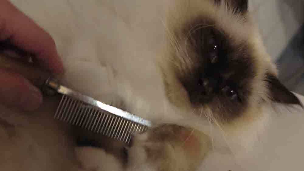 Images Store Heddinge Dyrehospital