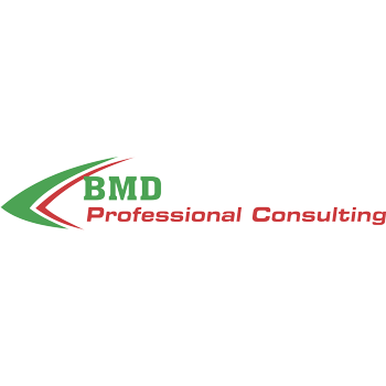 Bmd Professional Consulting Cpas