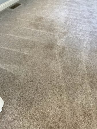 Images White River Chem-Dry