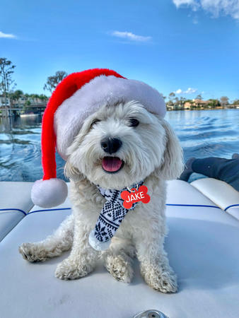 Images Craig Martin - State Farm Insurance Agent