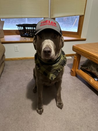 Images Thelen Heating & Roofing, Inc.