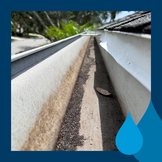 Images Window Hero Raleigh