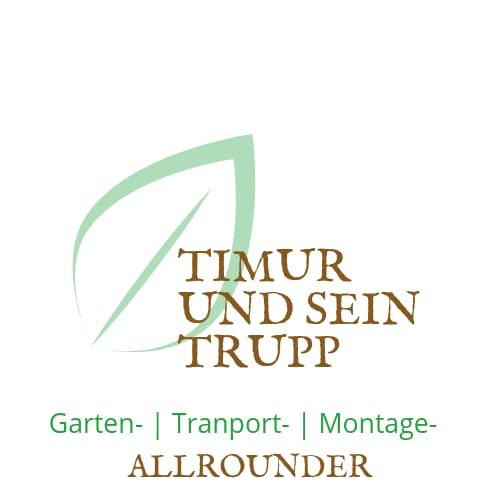 Logo Timur und sein Trupp