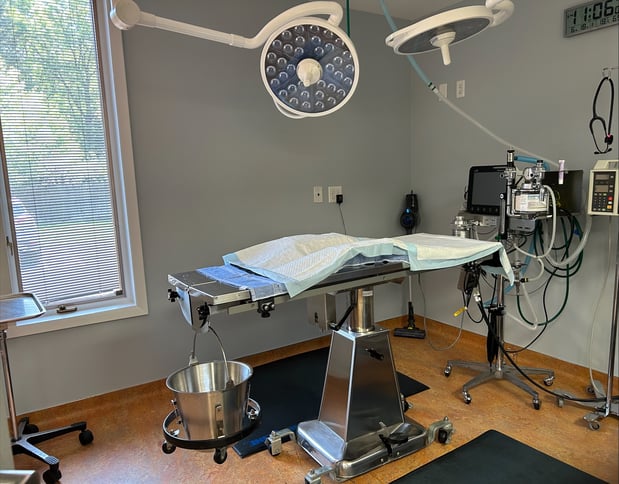 Images VCA Fort Collins Animal Hospital