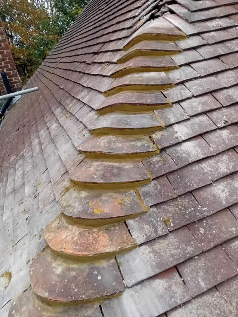 Images All Season Roofing