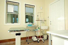 Images アンディいぬねこ病院