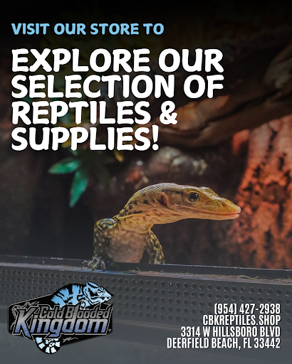 Images Cold Blooded Kingdom