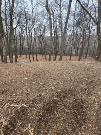 Images TK Land Management LLC