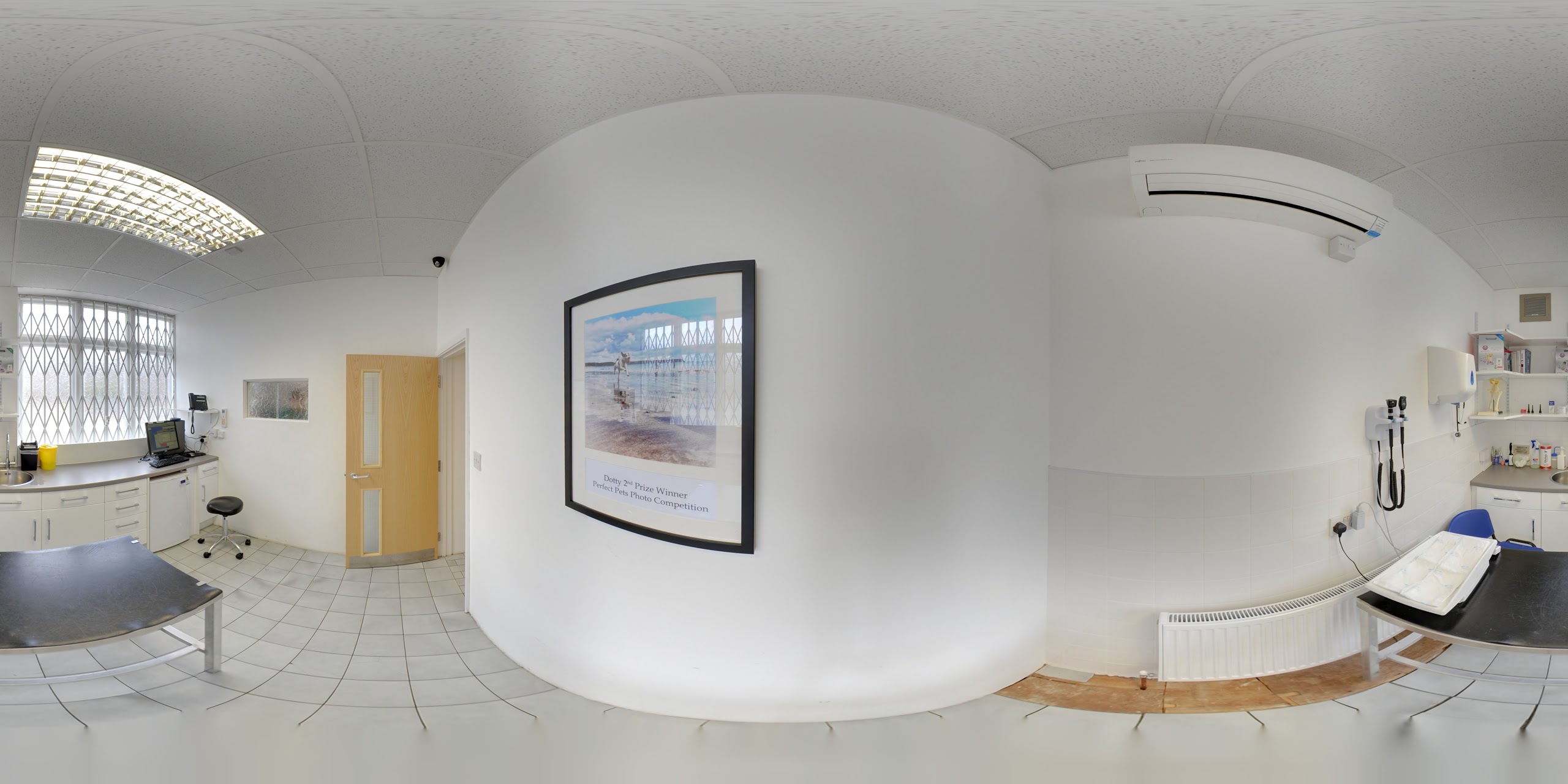 Images Streatham Hill Veterinary Surgery